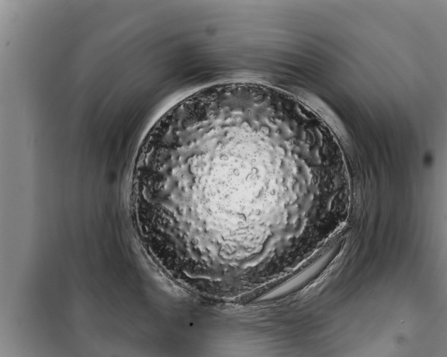 X0000100201052200806061318