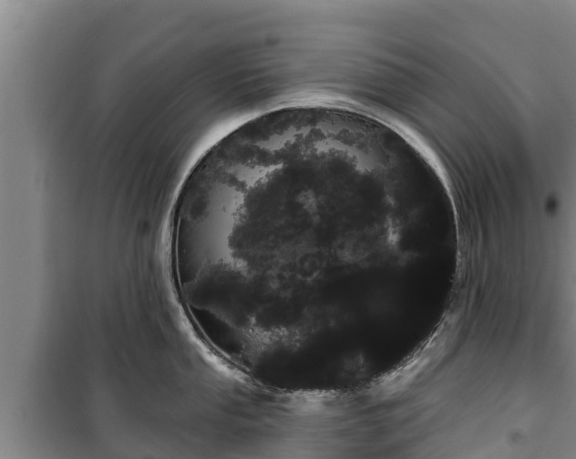 X0000100201053200806061318