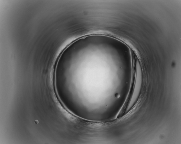 X0000100201054200806061318