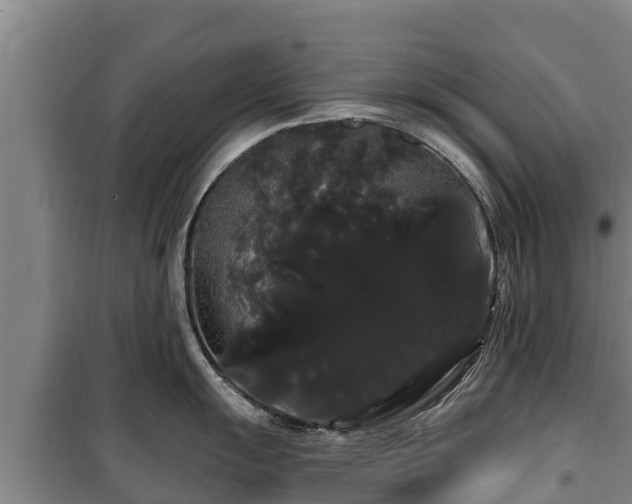 X0000100201055200806061318