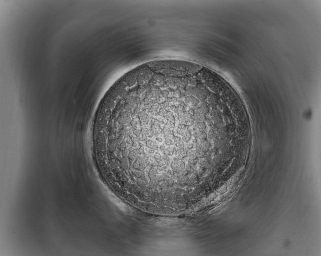 X0000100201056200806061318