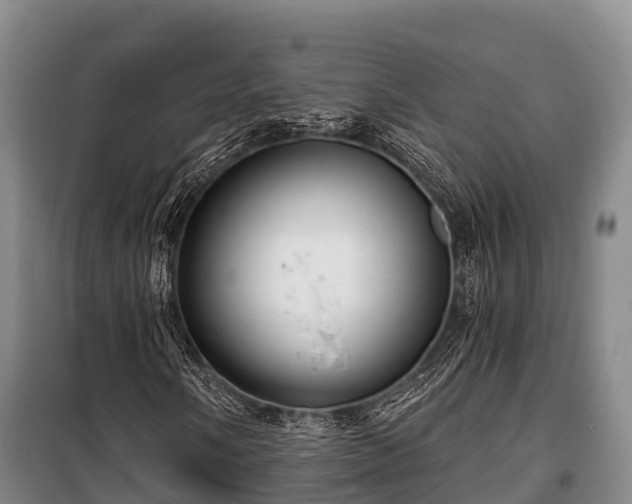 X0000100201058200806061317