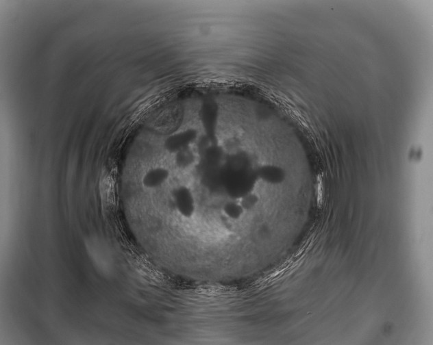 X0000100201059200806061317