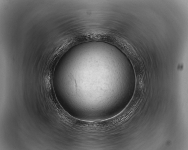 X0000100201060200806061317