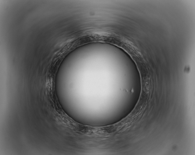 X0000100201061200806061317