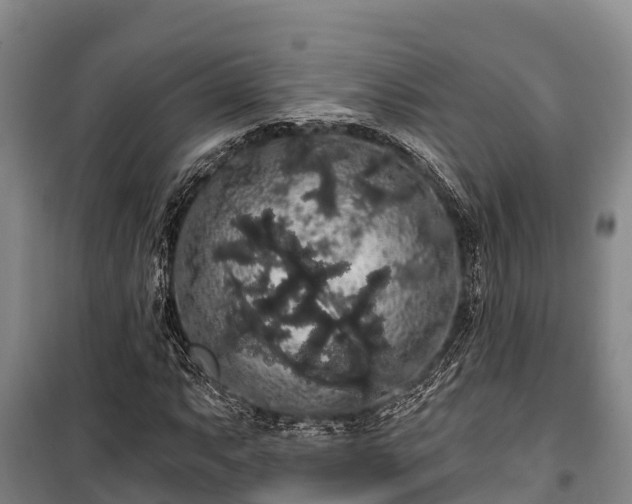 X0000100201063200806061317