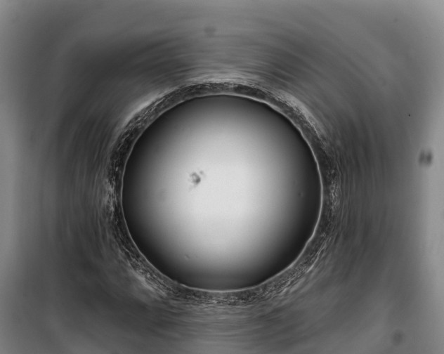 X0000100201064200806061317