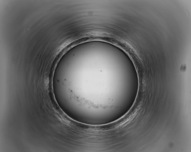 X0000100201065200806061317