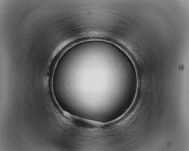 X0000100201066200806061317