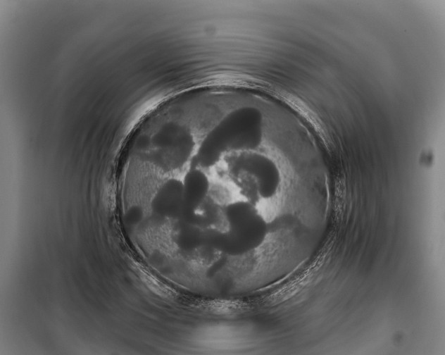 X0000100201067200806061317