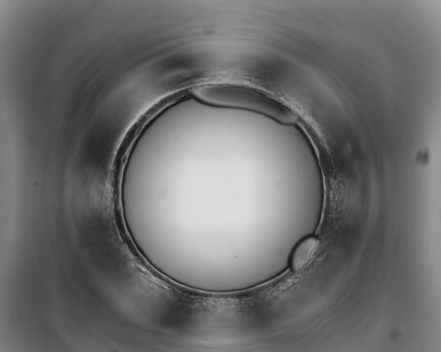 X0000100201068200806061317