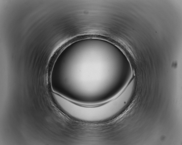 X0000100201069200806061317