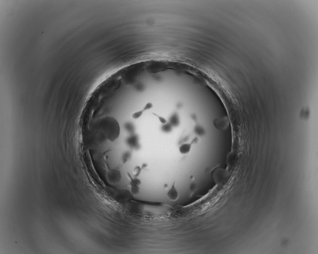 X0000100201070200806061317