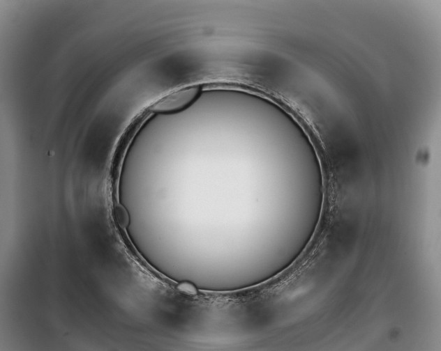 X0000100201072200806061317