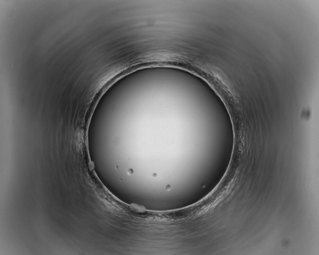 X0000100201073200806061317