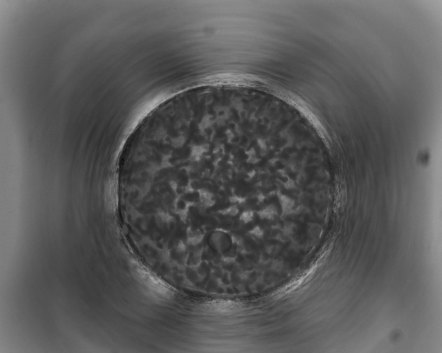 X0000100201075200806061317