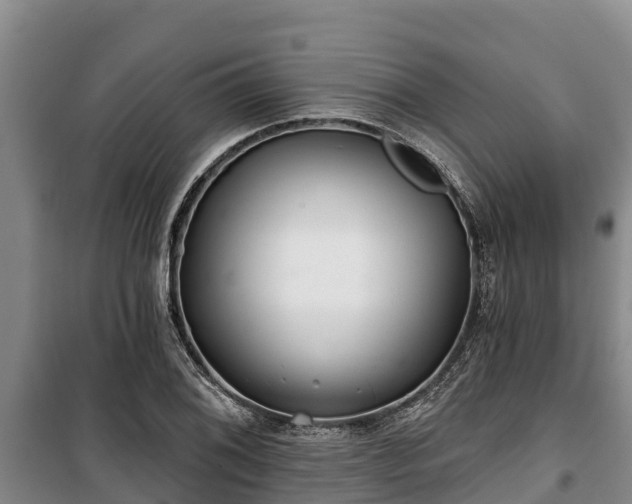 X0000100201076200806061317