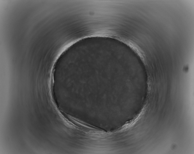 X0000100201077200806061317