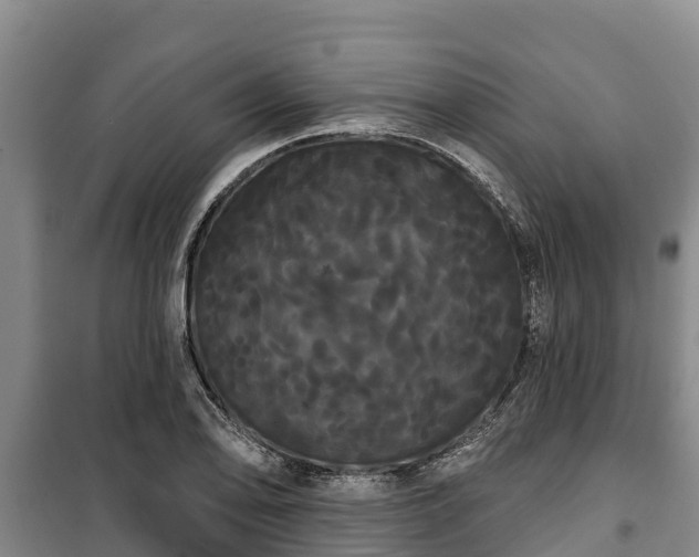 X0000100201078200806061317