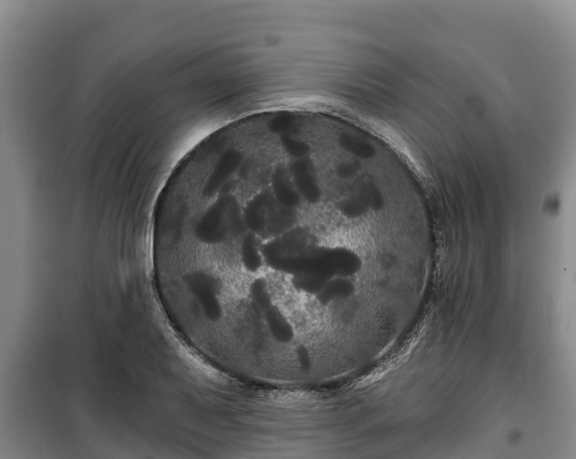 X0000100201079200806061317