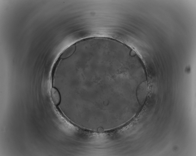 X0000100201080200806061317