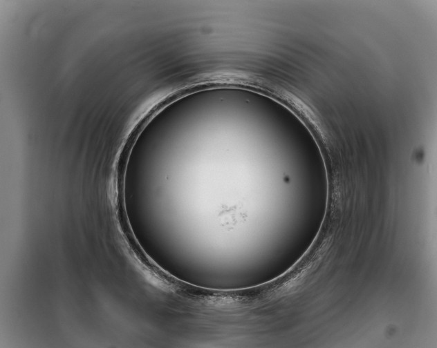 X0000100201082200806061317