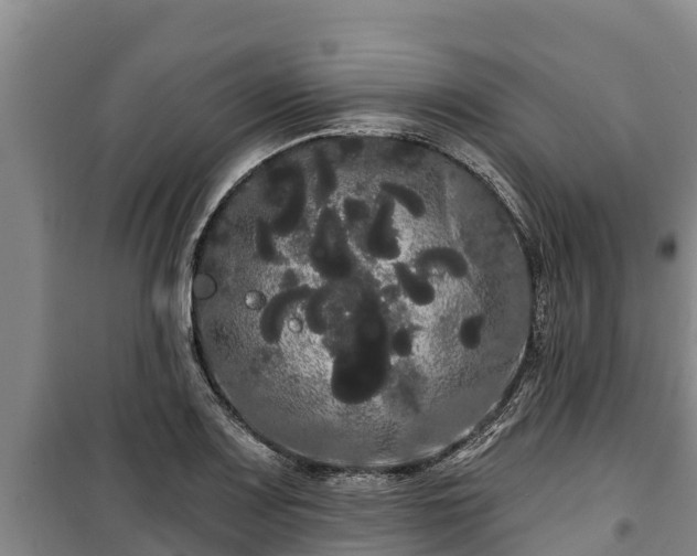 X0000100201083200806061317