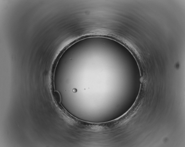 X0000100201085200806061317