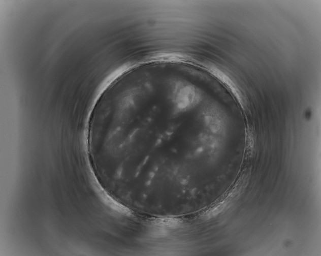 X0000100201090200806061316