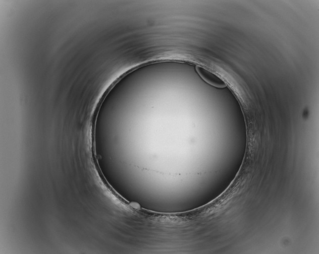 X0000100201092200806061316