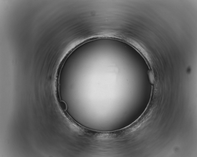 X0000100201093200806061316