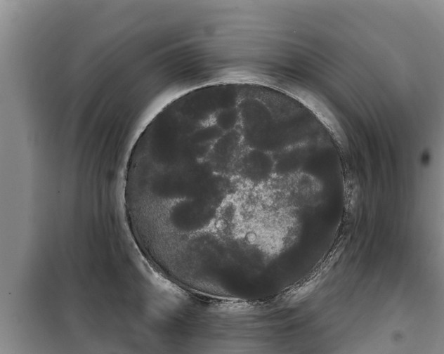 X0000100201094200806061316