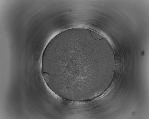 X0000100201095200806061316