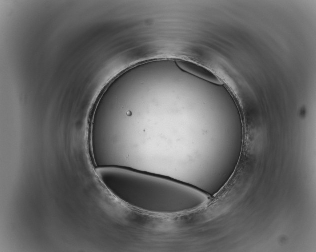 X0000100201096200806061316