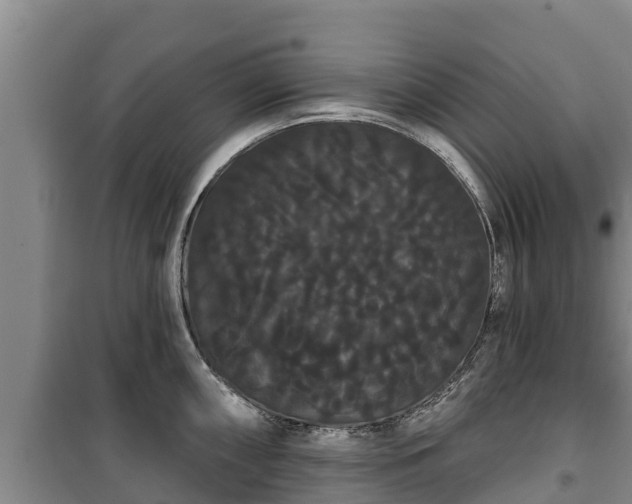 X0000100201098200806061316