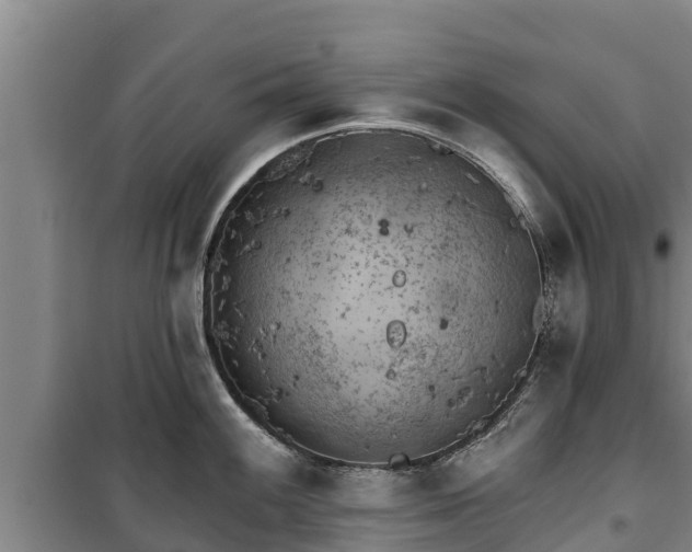 X0000100201100200806061316