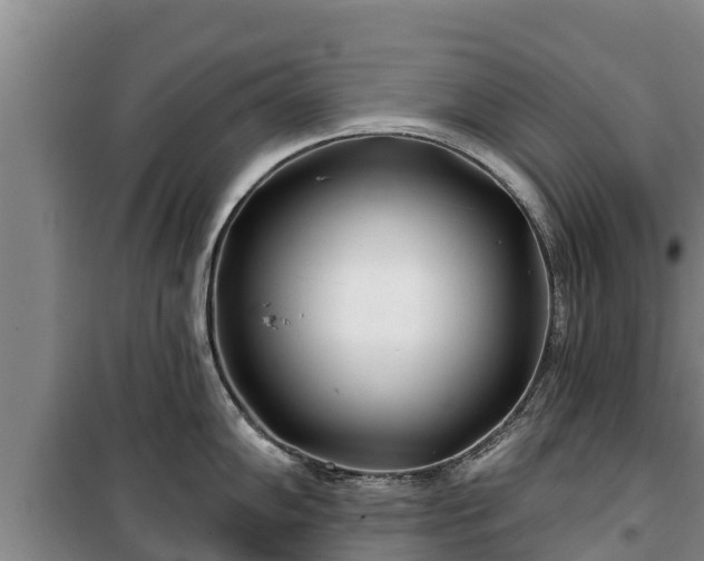 X0000100201102200806061316