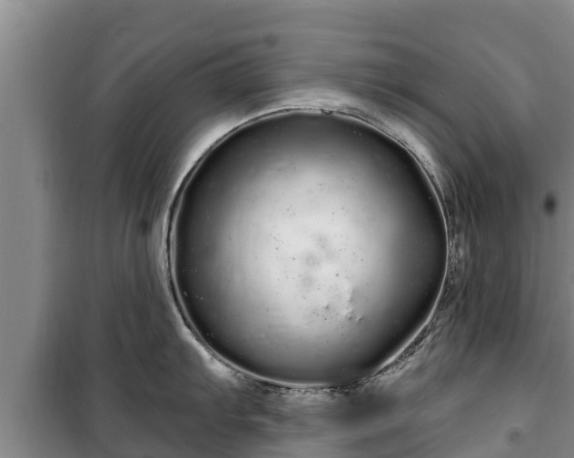 X0000100201103200806061316