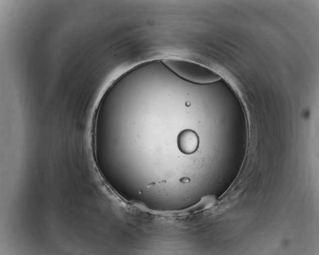 X0000100201104200806061316