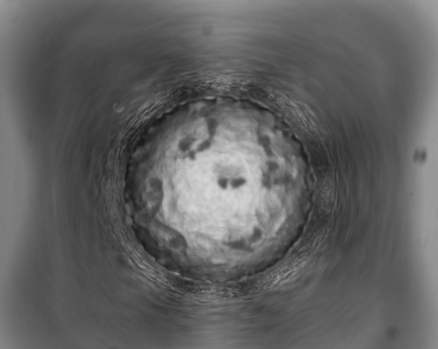 X0000100201105200806061315