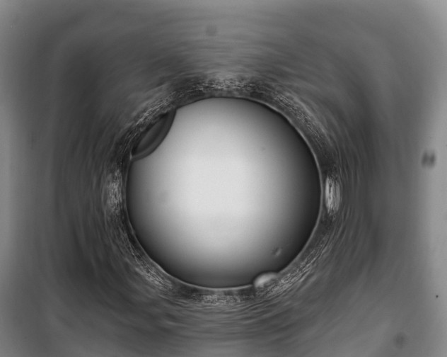 X0000100201107200806061316