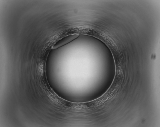 X0000100201108200806061316