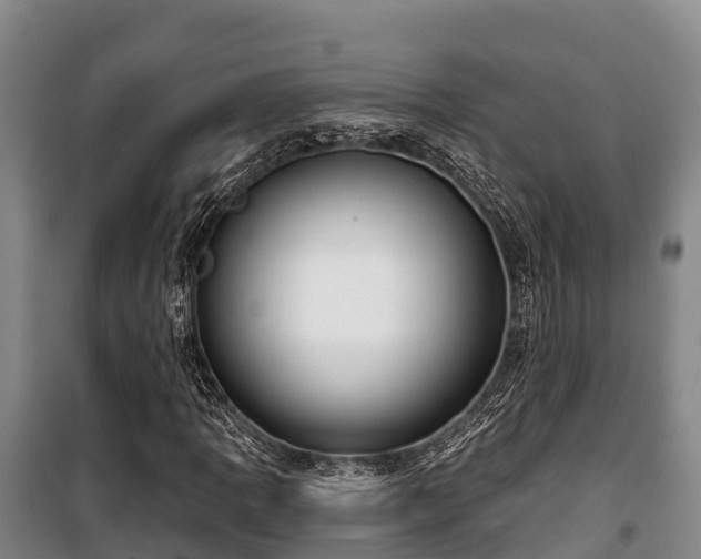 X0000100201109200806061316