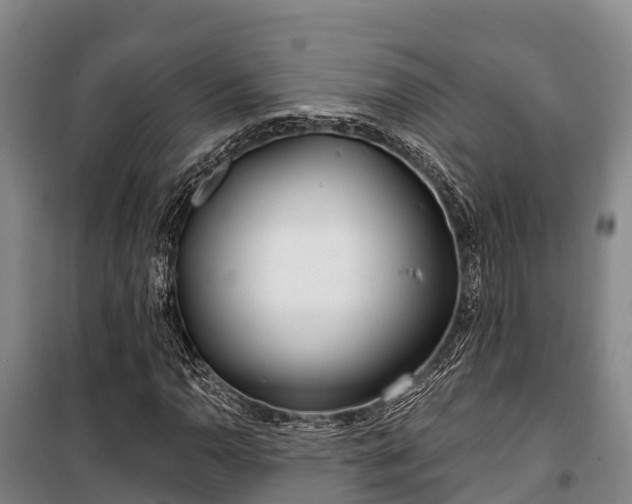 X0000100201110200806061316