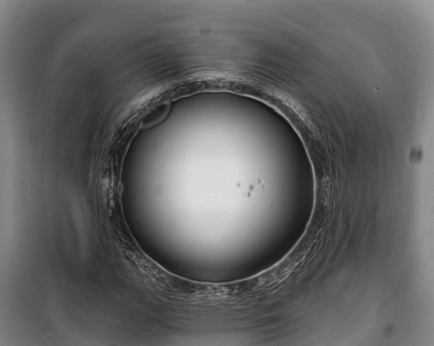 X0000100201111200806061316