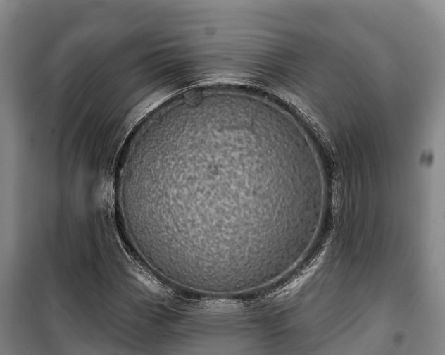 X0000100201113200806061316