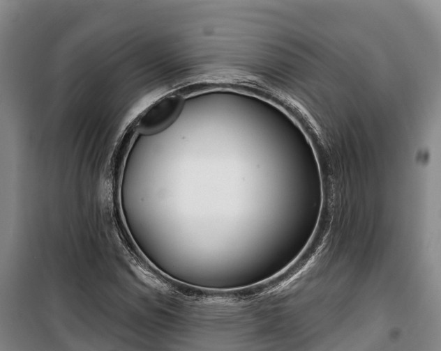 X0000100201114200806061316