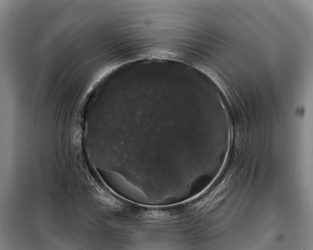 X0000100201115200806061316