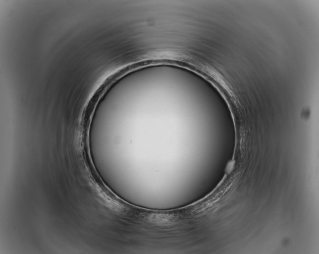 X0000100201116200806061316