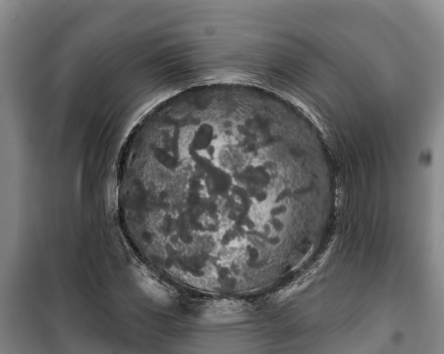 X0000100201117200806061316